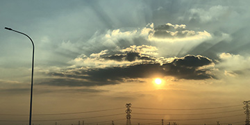 宜阳小麦技术优势